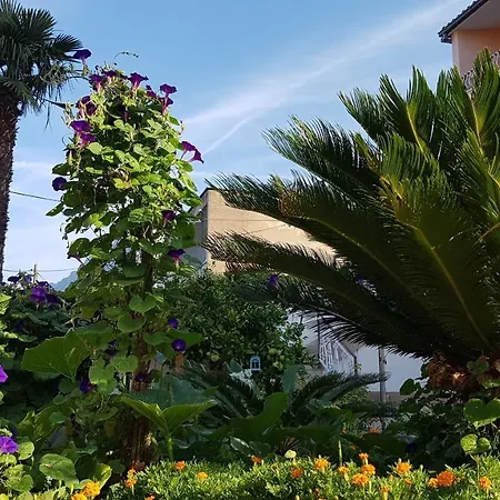 Guest house Mamma Mia