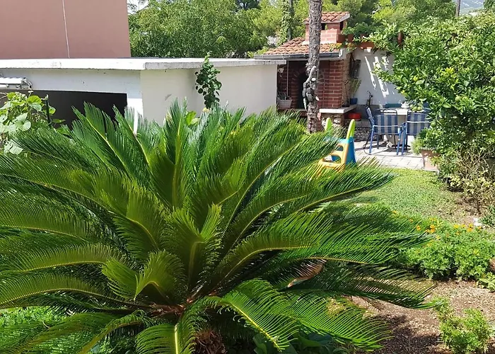 Mamma Mia בית הארחה 3*